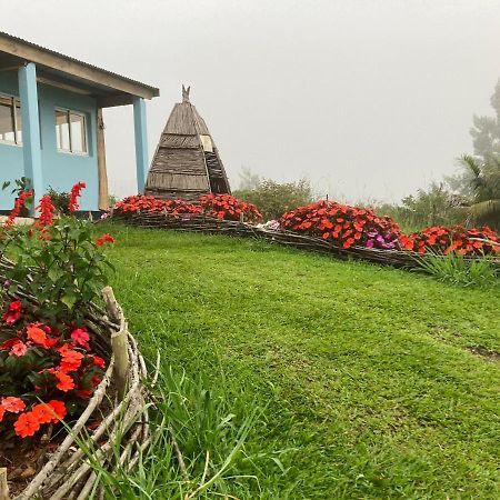 Au Coeur De La Cascade Biberon Bed & Breakfast La Plaine des Palmistes Exterior foto